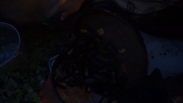 Вкусный ужин у костра на даче! Мы приготовили пасту с мидиями и лёгкий салат из кабачков. смотреть онлайн