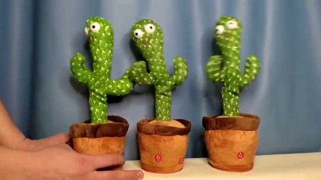 Поющий кактус