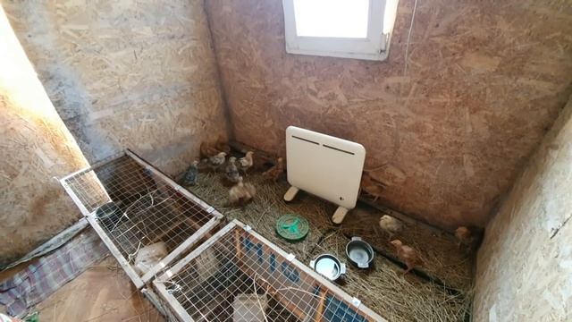 Универсальный курятник - своими руками. Простой зимний - летний птичник смотреть онлайн