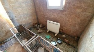 Универсальный курятник - своими руками. Простой зимний - летний птичник