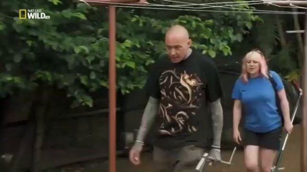 გველები ქალაქში - გველი მოჩვენება --- Змеи В Городе - Змея Призрак