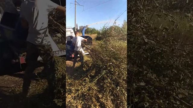Измельчитель /дробилка/ веток /деревьев смотреть онлайн
