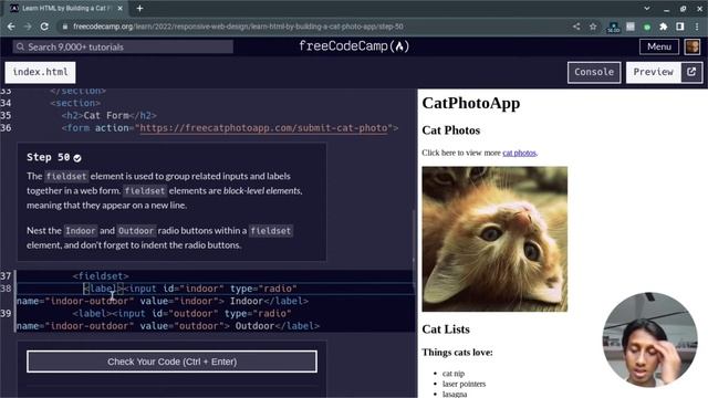CatPhotoApp Tutorial #3 Step 42-56 | Learn HTML Basics - (New) Responsive Web Design | freeCodeCamp смотреть онлайн