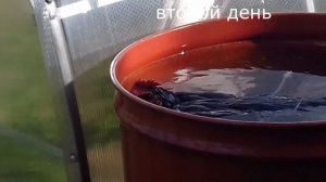 Отучаем квочку от насиживания