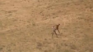 "Ты где, июль?" Песня из к/ф "Зеленый фургон"