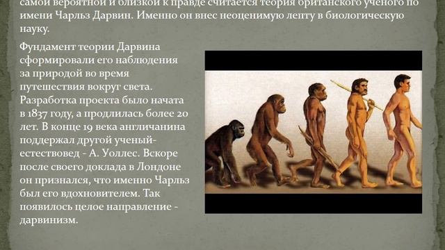 Тема: Теория происхождения человека смотреть онлайн