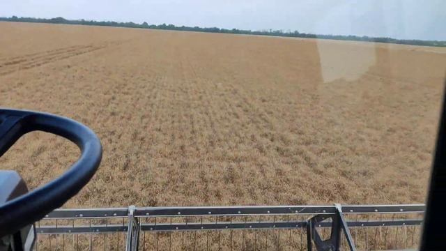 убираем лён смотреть онлайн