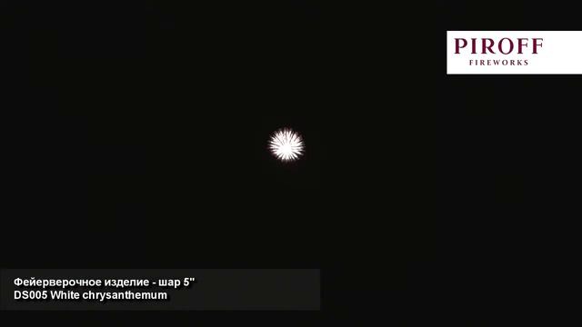 Шар Ss DS005 5inch 24 1 White chrysanthemum смотреть онлайн
