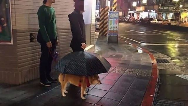 Ничего не понятно, но очень интересно смотреть онлайн