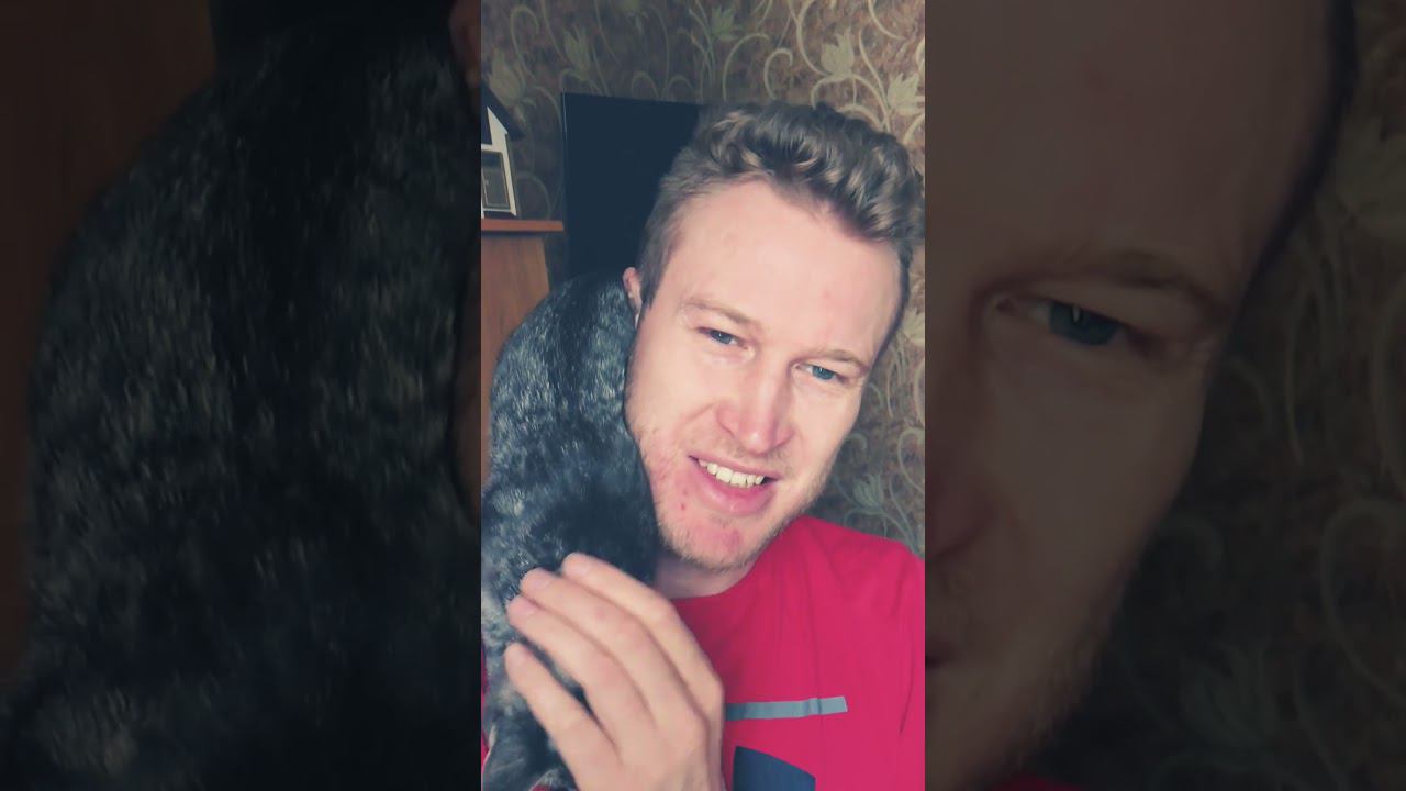 Всем бы такое и мир был бы лучше #shorts смотреть онлайн