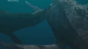 Гигантские чудовища  . Мозазавр.Тираннозавр из Глубин