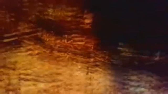Дебил залез в будку к собаке в собачью конуру To be continued мем смотреть онлайн