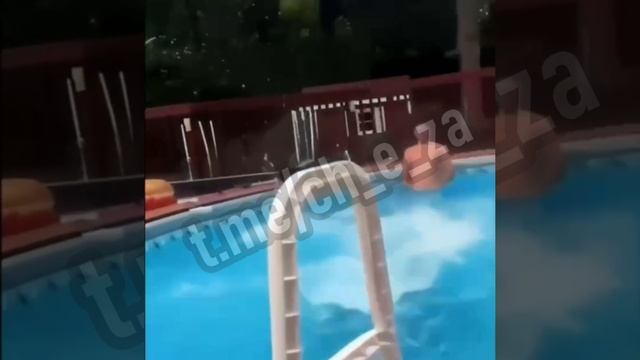 делай так два раза в день и спина болеть не будет смотреть онлайн