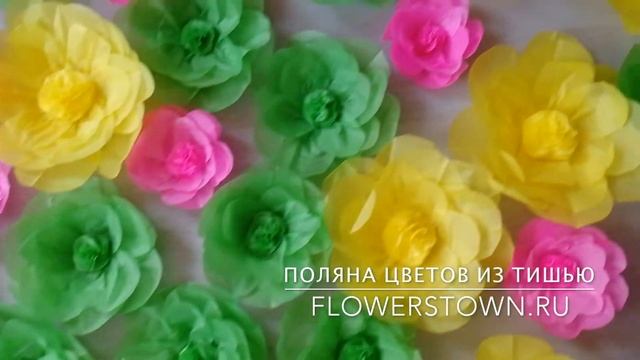 Поляна цветов из тишью смотреть онлайн