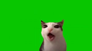 Кот хрустит, Хрустящая кошка - мем, хромакей (Crunchy cat) – 2 минуты