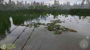 ТРОФЕЙНЫЙ ЛИНЬ НА МЕДВЕЖКЕ РР4 / РУССКАЯ РЫБАЛКА 4 ОЗЕРО МЕДВЕЖЬЕ ТРОФЕЙНЫЙ ЛИНЬ / RF4 TROPHY TENCH