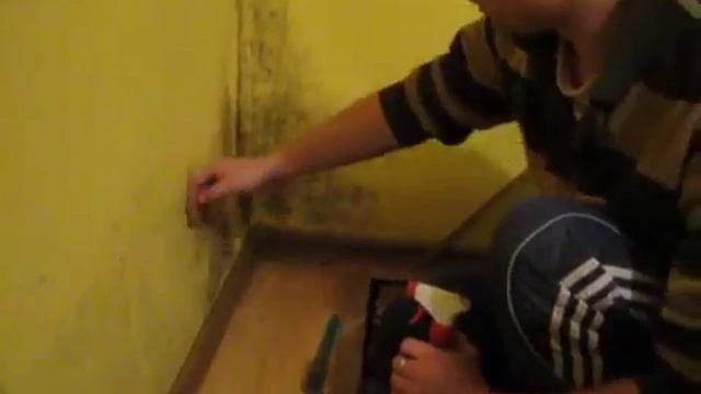 Стройка Формат