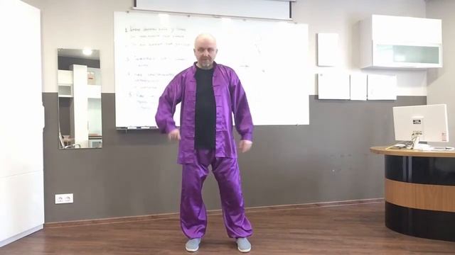 Белый журавль расправляет крылья. Чэньши Тайцзицюань. Позиция 6/83. смотреть онлайн