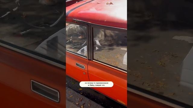 Любопытный экземпляр в Буэнос-Айресе. Автомобили из СССР смотреть онлайн