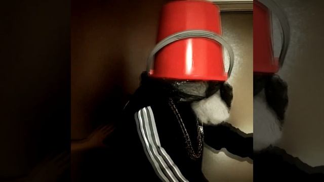 Наказали продавца. АнтиДед мошенник ходит по квартирам и продает всякий хлам. #short #shorts смотреть онлайн