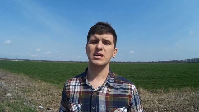 Гербицид Пантера - описание препарата и инструкция по применению. смотреть онлайн