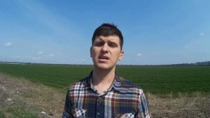 Гербицид Пантера - описание препарата и инструкция по применению.