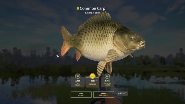 Russian Fishing 4 - Bear Lake - Gameplay Carp Fishing - #164 смотреть онлайн