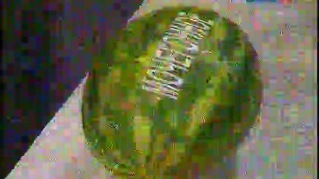 О самом главном 13.07.12.mkv