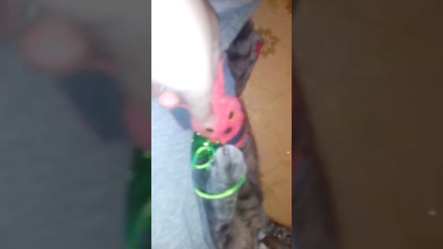 Милаха по имене Самсон смотреть онлайн