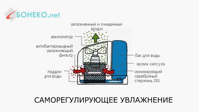 Boneco Air-O-Swiss E2241 review смотреть онлайн