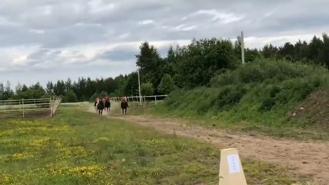 Финиш на международных соревнованиях по дистанционным пробегам, 80 км. 1,2,3 место КЗ Ковчег смотреть онлайн