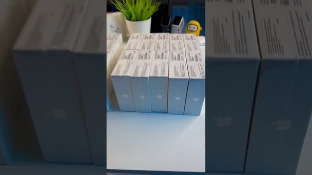 Оптовый заказ из Санкт Петербурга смотреть онлайн