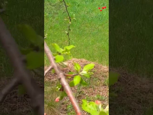 На пригорке смотреть онлайн