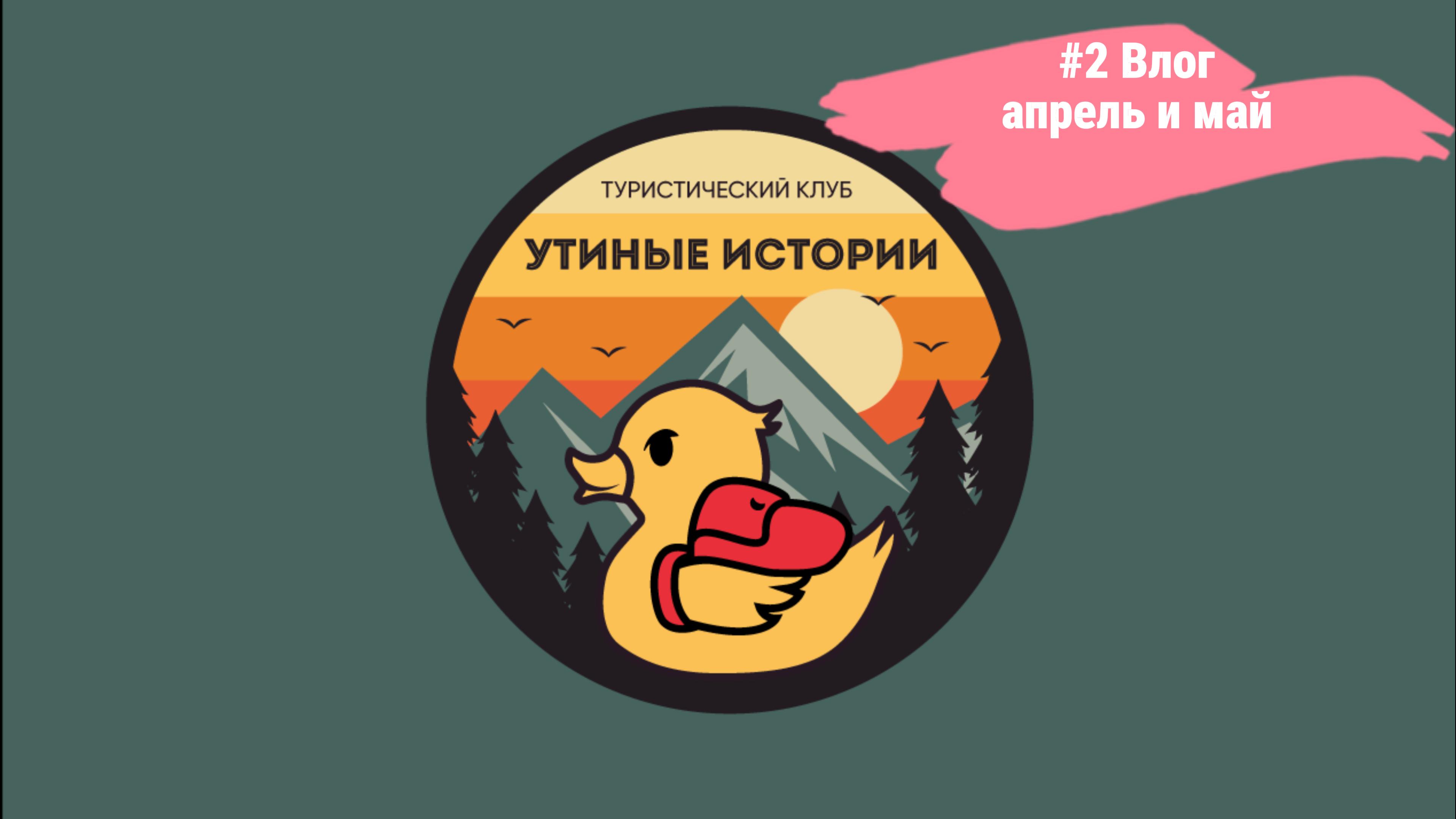 Влог Утиных историй №2 апрель и май