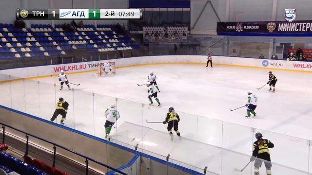 23.02.2024. Торнадо - Агидель. Регулярный чемпионат ЖХЛ 2023/2024 смотреть онлайн