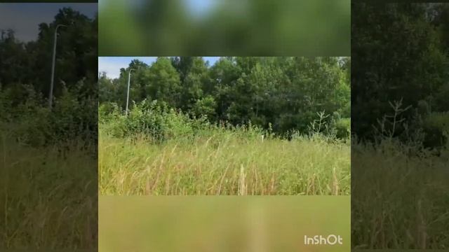 предлагаю Вашему вниманию Участок - 830 кв.м , расположенный в 45 км от МКАД города Чехов. смотреть онлайн