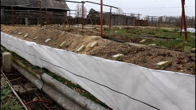 Укрытие винограда. Канал + спанбонд + солома. Серия 117. смотреть онлайн