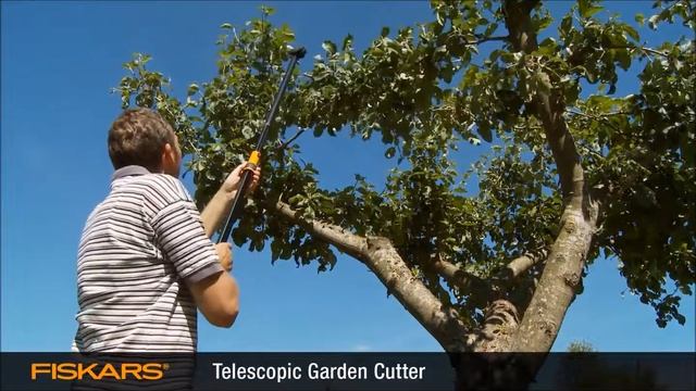 Сучкорезы с телескопической ручкой Fiskars смотреть онлайн