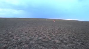 Пулей с ТОЗ - 34 на 100 метров.