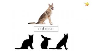 карточки Монтессори