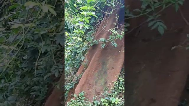 Beauty Of Nature #Kodagu #coorg #peaceful Place #