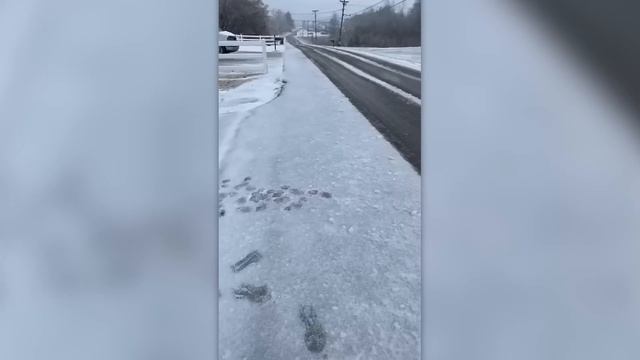 НА КАМЕРУ ПОПАЛ МОМЕНТ, КОТОРЫЙ НЕ МОЖЕТ ОСТАТЬСЯ НЕЗАМЕЧЕННЫМ