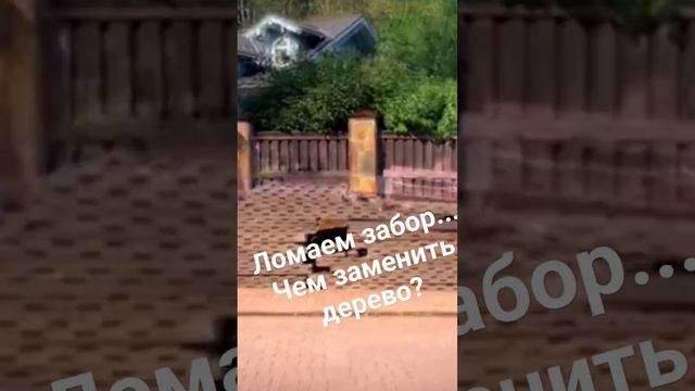 Снос старого деревянного забора. смотреть онлайн