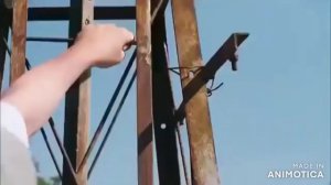 ДВА ПРИДУРКА. -  фильм