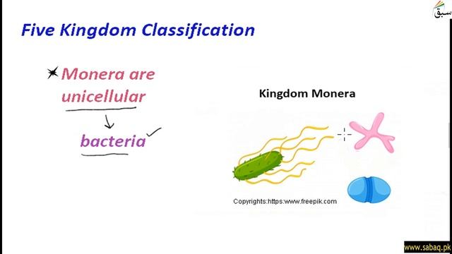 Five Kingdom Classification, General Science Lecture | Sabaq.pk смотреть онлайн