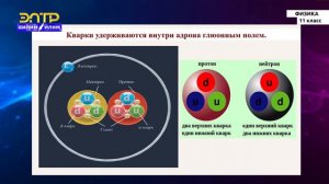 11-класс | Физика | Элементарные частицы и их свойства