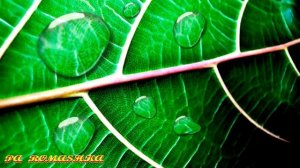 ЯВЛЕНИЯ ПРИРОДЫ ДЛЯ ДЕТЕЙ