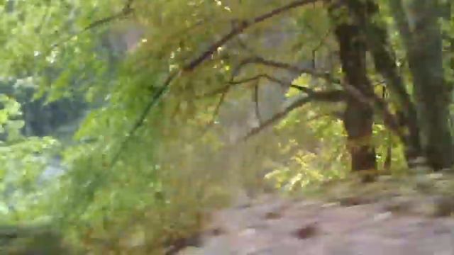 Пропасть.Абхазия. смотреть онлайн