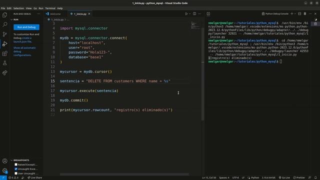 8.1 Prevenir Inyeccion SQL con DELETE FROM | Python + MySQL смотреть онлайн