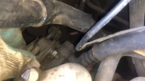 Подтяжка ремня гура на автомобиле Nissan Primera P11